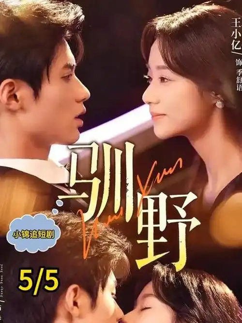 电视剧封面：大唐狄公案